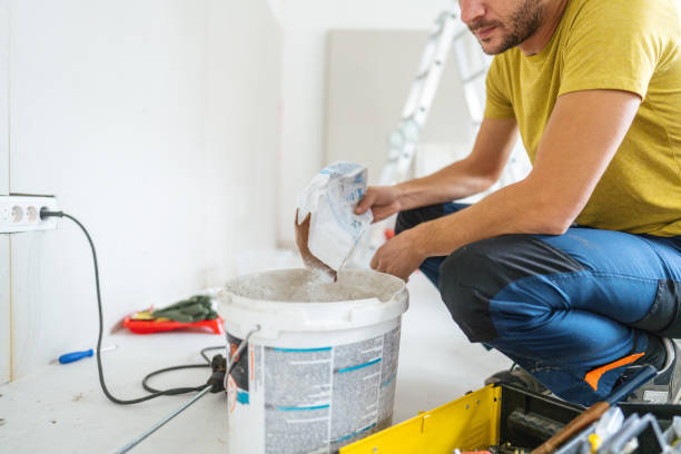 Best Real Estate Mold Inspection  in Cedar Grove, WI